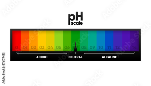 PH scale meter for acidic and alkaline solutions. Acid-base balance scale. Chemical test. Vector illustration.