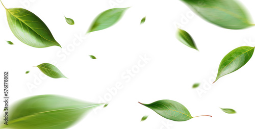 Fotografia, Obraz Green Floating Leaves Flying Leaves Green Leaf Dancing, Air Purifier Atmosphere Simple Main Picture
