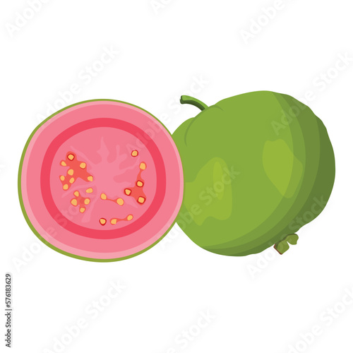 Vector illustration of summer tropical fruits for healthy lifestyle. Guava, whole fruit and half. Cartoon flat icon isolated on white background. Element for digital resources graphic fruit