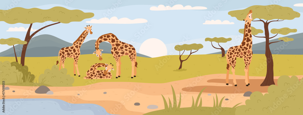 Giraffes in natural habitat, flat vector illustration. African savannah scenery.