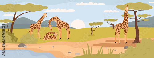 Giraffes in natural habitat, flat vector illustration. African savannah scenery.
