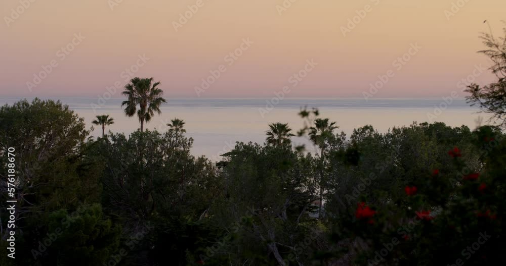 Sunset timelapse of palm trees and glassy ocean on a spring day in Malibu, California. Sunset timelapse of palm trees and glassy ocean on a spring day in Malibu, California.