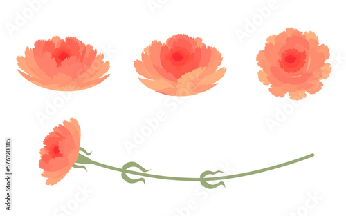 カーネーションのイラストパーツセット