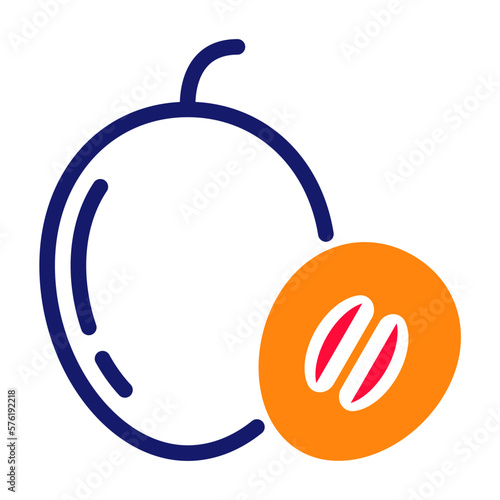 Sapodilla Icon