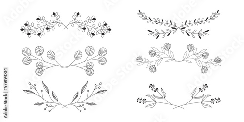 花　シンプル、線画、ナチュラル　美しい線画のボタニカルのライン