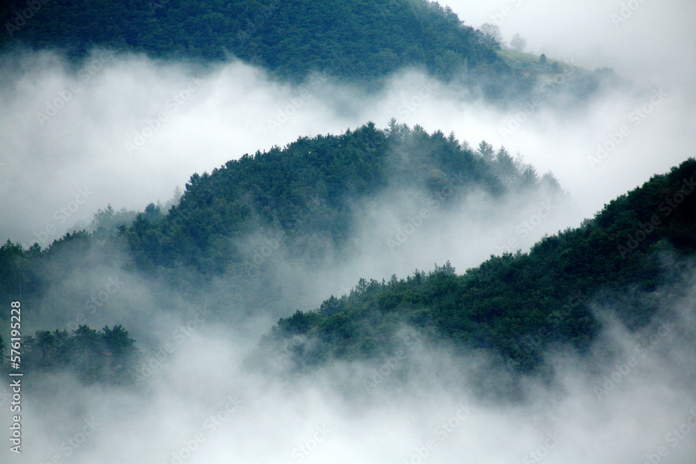 Obraz premium fog in the mountain