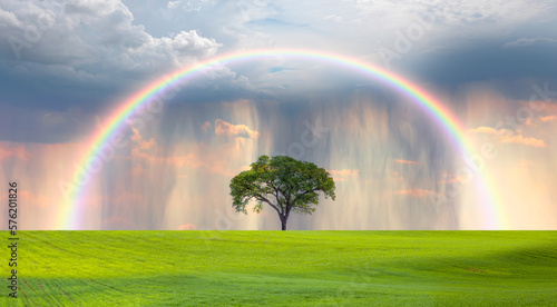 Beautiful landscape with green grass field and lone tree in the background amazing rainbow © muratart