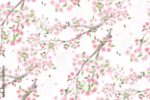 Vector illustration of a seamless pattern of cherry blossom flowers for various events like weddings, anniversaries, birthdays, and parties. The design can be used for creating invitation cards