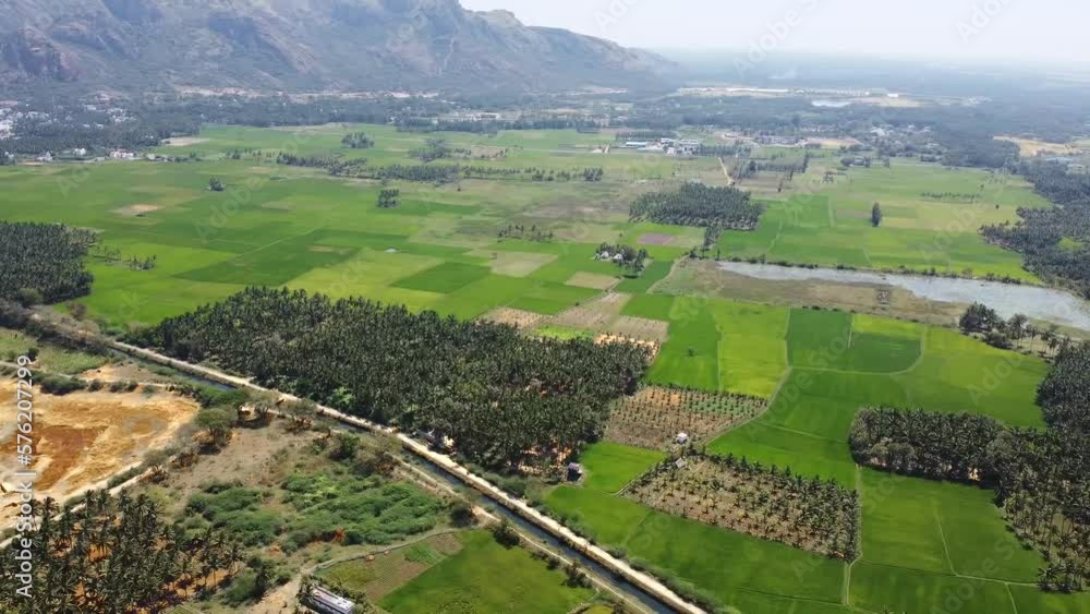 View of paddy farm in the morning. View of paddy farm in the morning.