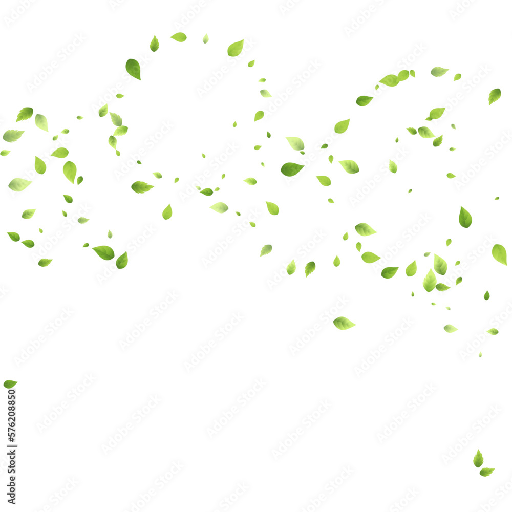Leaves Green Falling Flying Foliage Leaf Tea Mint Leaves Green Falling Flying Foliage Leaf Tea Mint