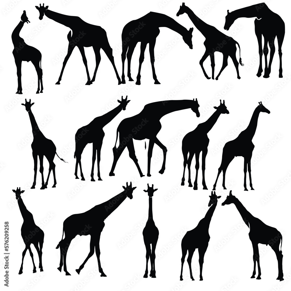 Naklejka premium Giraffe silhouette vector set illustration