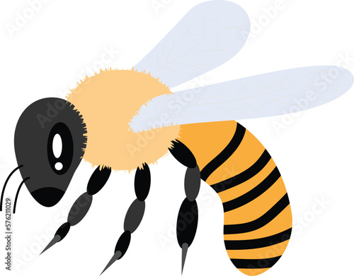 Bee vector image or clipart