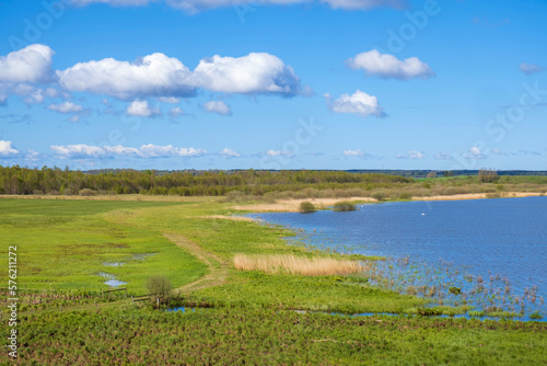 Lakeshore a wetland in springtime