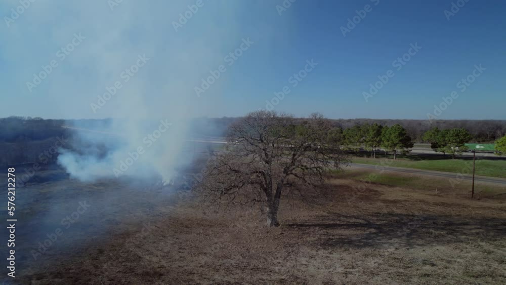 One tree on fire. Seasonal burning grass in Texas. Agriculture system updates grass. Huge smoke from burning grass One tree on fire. Seasonal burning grass in Texas. Agriculture system updates grass. Huge smoke from burning grass