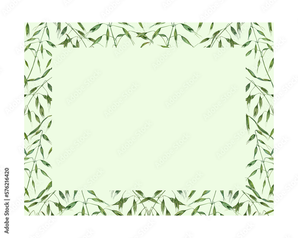 Horizontal frame with wild oats isolated on white background. Hand painting for postcard design, invitation template, Valentine day, birthday, mother day cards, wedding invitation Horizontal frame with wild oats isolated on white background. Hand painting for postcard design, invitation template, Valentine day, birthday, mother day cards, wedding invitation