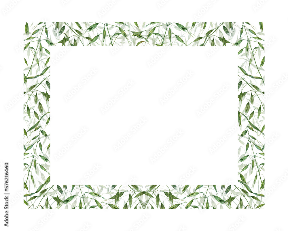 Horizontal frame with wild oats isolated on white background. Hand painting for postcard design, invitation template, Valentine day, birthday, mother day cards, wedding invitation Horizontal frame with wild oats isolated on white background. Hand painting for postcard design, invitation template, Valentine day, birthday, mother day cards, wedding invitation