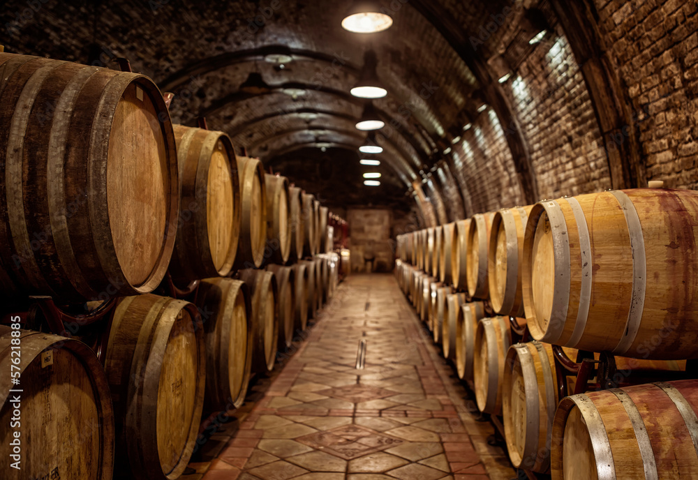 Wine barrels in wine-vaults in order