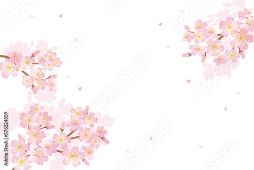 Cherry blossom flowers background illustration 