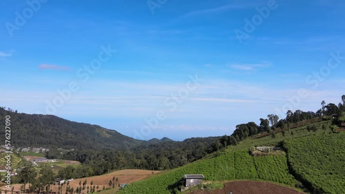 Drone view in Cangar Village, Indonesia Cabbage Farm photo