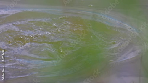 Slow Motion Shot Of Great Cormorant Diving In Lake - Arvada, Colorado photo