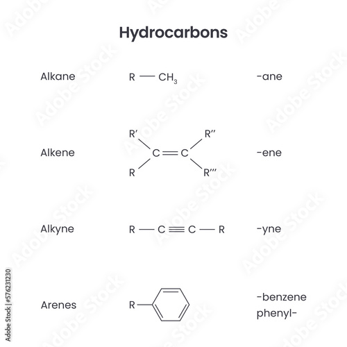 Hydrocarbon functional groups biochemistry science vector infographic