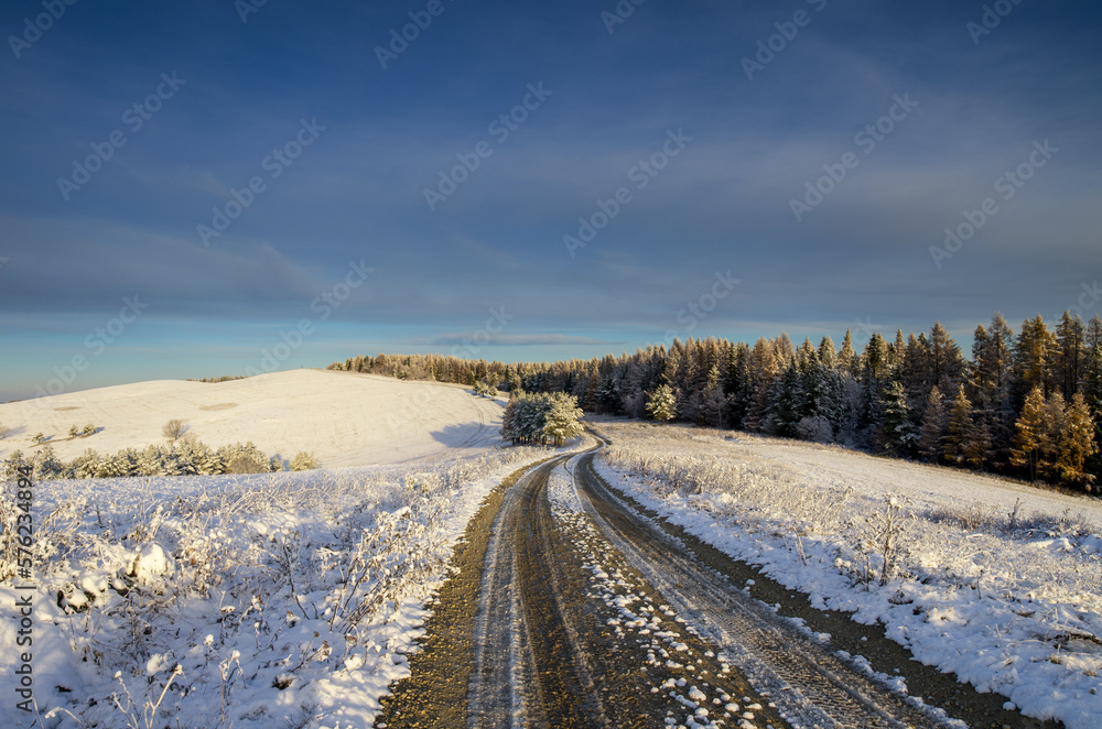 Obraz premium road in winter
