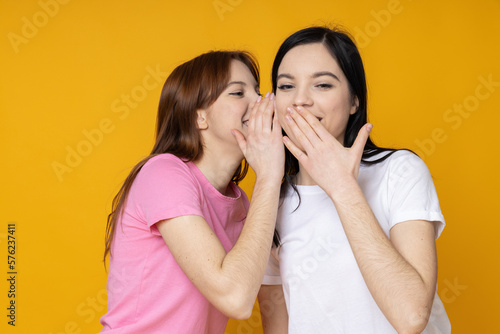 Two beautiful young women, sisters - twins on yellow background