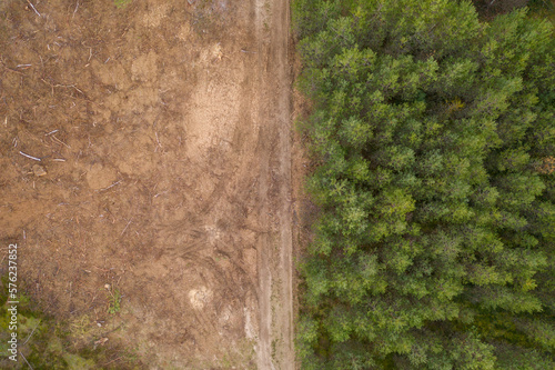 Drone photography of deforested site, maintenance road and new trees growing
