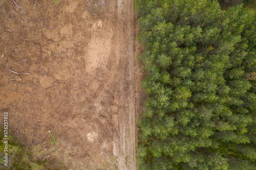 Drone photography of deforested site, maintenance road and new trees growing photo