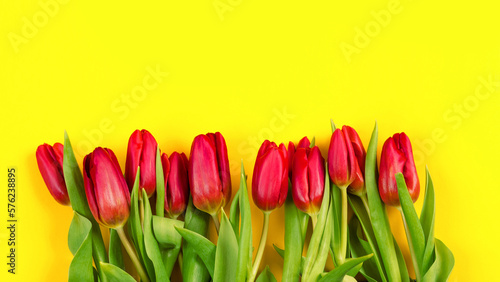 Fresh spring flowers. Bouquet of red tulips on a yellow background. Greeting card. International woman day. Mother day card. Top view. Mockup design. Template. Layout. Springtime. Gardening banner