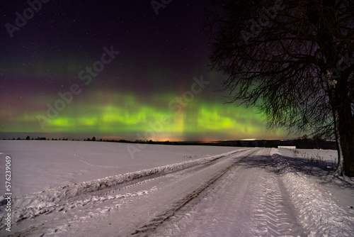 Aurora Borealis. Night sky. Latvia. Cesis. 