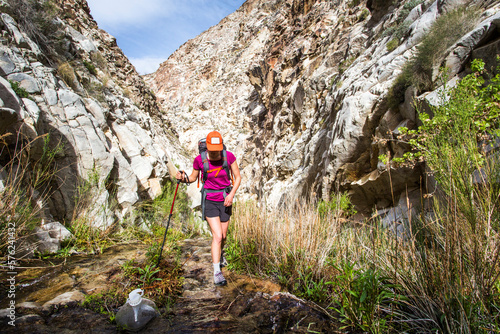 PANAMINT VALLEY, DEATH VALLEY, CA, USA. A young woman hikes up a narrow, white canyon, walking through a thin stream with a hiking pole. photo