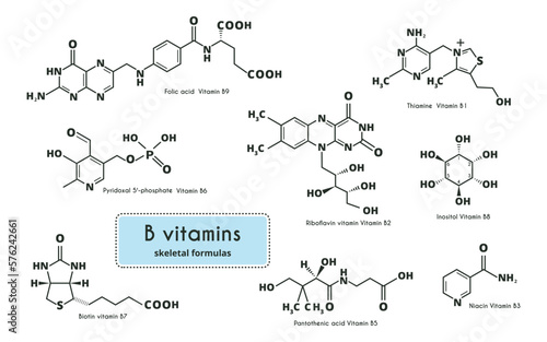 Water soluble vitamins set. Vitamins of group B. Chemical molecular formulas of vitamins. Infographics. Vector illustration on an isolated background.