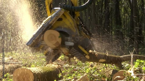 Wallpaper Mural Cutting Forests with Modern Machinery - Preparing Firewood for Winter, Video Clip with Original Sound Torontodigital.ca