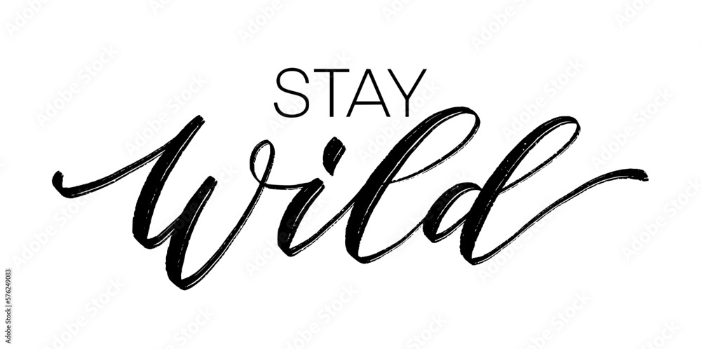 STAY WILD. Calligraphy text stay wild. Motivation Quote. Black word on white background. Vector illustration. Inspirational design for print on tee, shirt, card, banner, poster, hoody. STAY WILD. Calligraphy text stay wild. Motivation Quote. Black word on white background. Vector illustration. Inspirational design for print on tee, shirt, card, banner, poster, hoody.