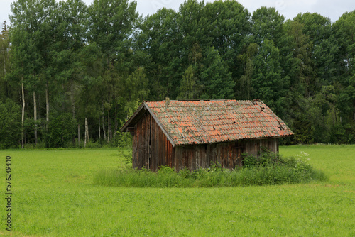 old crumbling wooden cabin in a field © Michael Niessen
