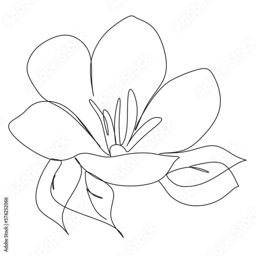 Chamomile flowers and butterflies one line art. Flowers one line vector art. Botanical print.