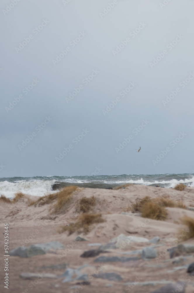 Baltic Sea, winter baltic sea, sea in poland, waves, storm, seagulls, poland Baltic Sea, winter baltic sea, sea in poland, waves, storm, seagulls, poland
