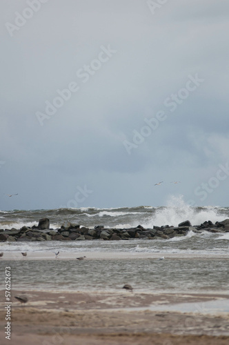 Baltic Sea, winter baltic sea, sea in poland, waves, storm, seagulls, poland