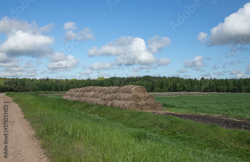 A green field with hay drains, bright blue sky, green grass, part of a sad road.