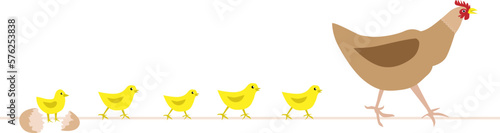 Hen with chickens. Bird family. Vector illustration. Chicken farm.