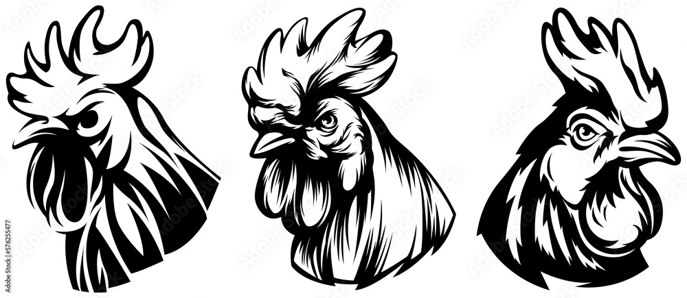 Head of rooster set. Cock abstract character illustration. Graphic logo designs template for emblem. Image of portrait for company use. Head of rooster set. Cock abstract character illustration. Graphic logo designs template for emblem. Image of portrait for company use.