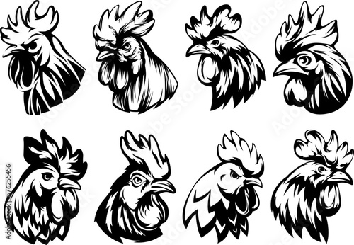 Head of rooster set. Cock abstract character illustration. Graphic logo designs template for emblem. Image of portrait for company use.