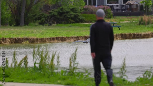 Slow Motion Panning Shot Of Great Blue Heron Flying Over Lake While Man Walking In Park - Arvada, Colorado photo