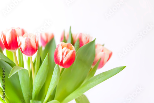 Tulips bouquet. Holiday floral decor.