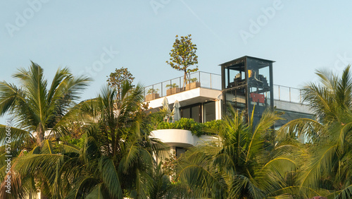 Roof terrace with plants and trees, landscaping and gardening