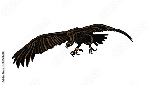 Grapical color  vulture isolated on white background, vector illustration .