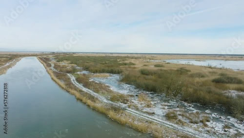 Distant aerial establishing view of empty Great Cormorant (Phalacrocorax carbo) nesting colony near lake Liepaja (Latvia), sunny winter day, dead trees, Barta river, wide drone shot moving forward photo