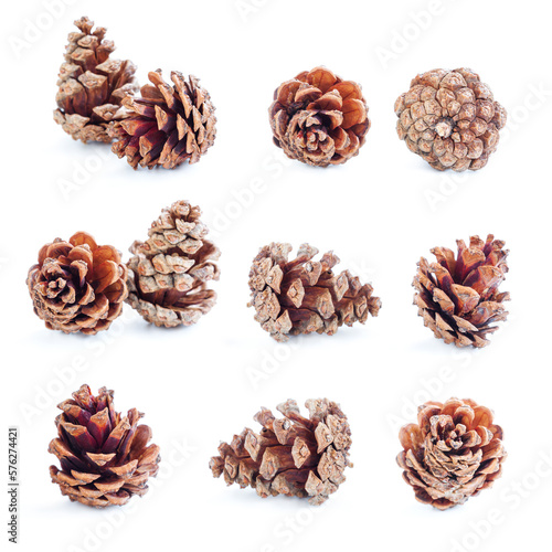 Collection of a Pine cone isolated on white background, Dried pine cone, christmas decoration