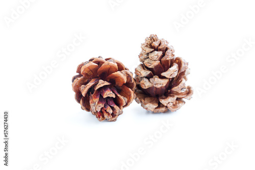 Pine cone isolated on white background, Dried pine cone, christmas decoration